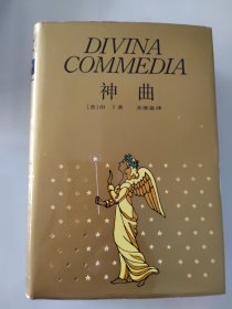 世界文学名著珍藏本《 神 曲 》（ 插 图 本 ）【布面精装网格本】带护封 原封套