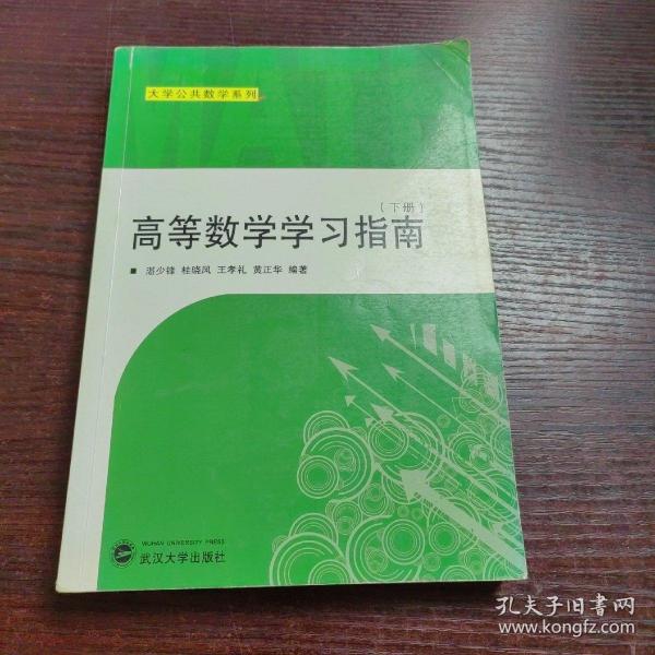 大学公共数学系列：高等数学学习指南（下册）