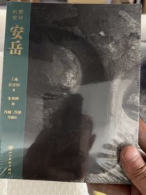 石窟史诗系列 安岳 驻足岁月更迭中的石窟一刻追寻千磨万击下的灵光流动读库建筑史诗作者王南