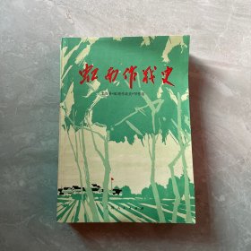 虹南作战史