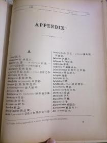 晚清汉洋古字典专题：中华辣丁合璧字典，1892年豪华精装版，超重，牛皮竹节书脊