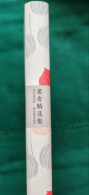 世纪文学经典：老舍精选集