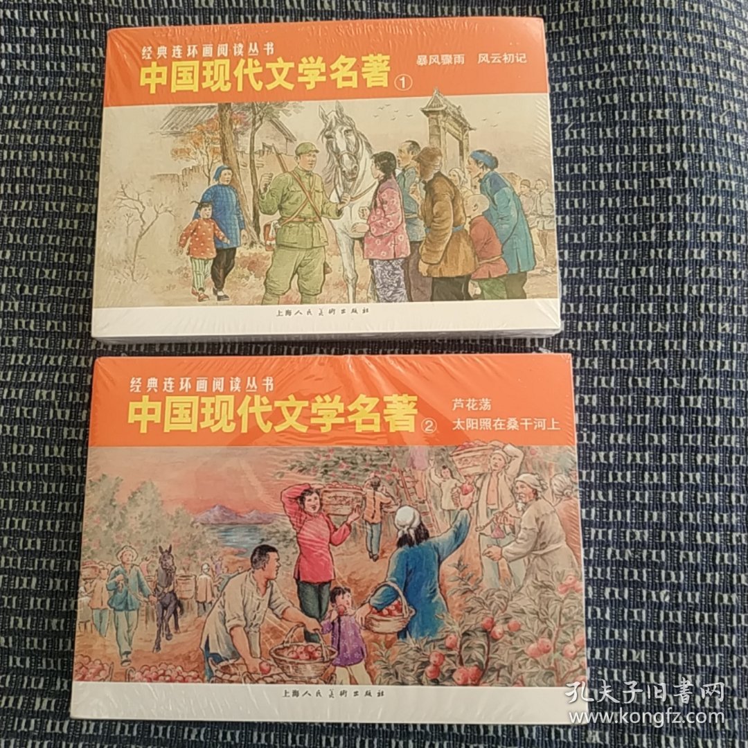 经典连环画阅读丛书——中国现代文学名著（1)(2)合售