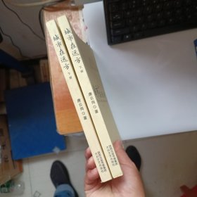 城市在远方 下