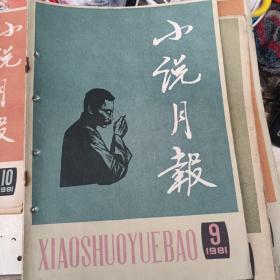 小说月刊杂志1981年第九期