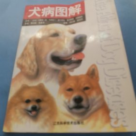 犬病图解