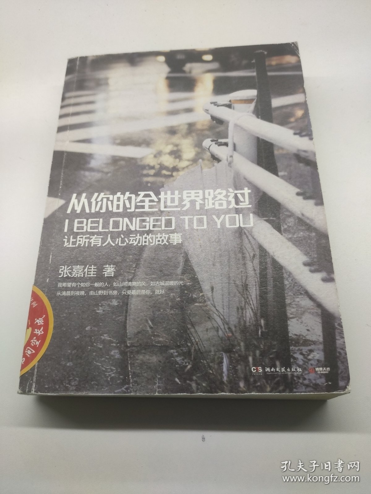 从你的全世界路过：让所有人心动的故事