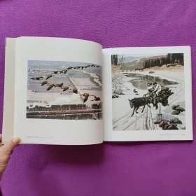 《鸿年之季一一杜鸿年美术作品选集》
