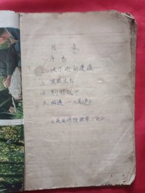 佚名手抄某小说一本(41页，钢笔书写，品相保存一般。)