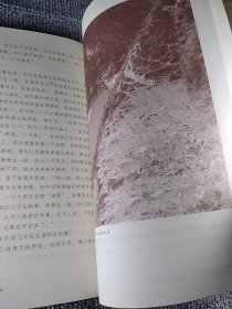 茶马古道上远逝的铃声-云南马帮马锅头口述历史