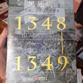 黑死病：大灾难、大死亡与大萧条（1348—1349）