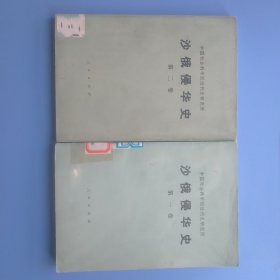 沙俄侵华史第一卷，第二卷
