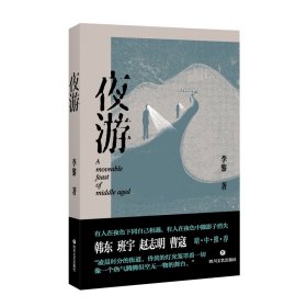 夜游【正版新书】