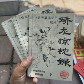 矫龙惊蛇录（上中下）：《倚天屠龙记》续集
