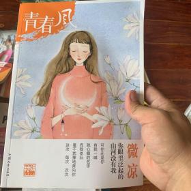 青春风特辑2 微凉（年刊）疯狂阅读 校园文学（新版）--天星教育