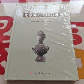 北京亦庄X10号地