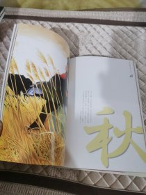 彩―ヒカルの碁イラスト集