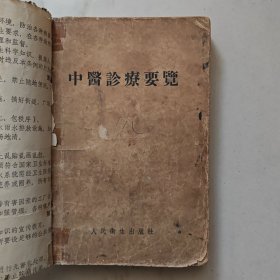 中医诊疗要览
