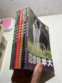 边境牧羊犬＋高加索犬＋阿富汗猎犬＋西高地白㹴＋苏格兰牧羊犬＋拉布拉多猎犬   6本合售