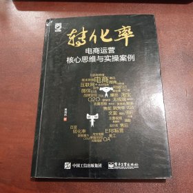 转化率——电商运营核心思维与实操案例