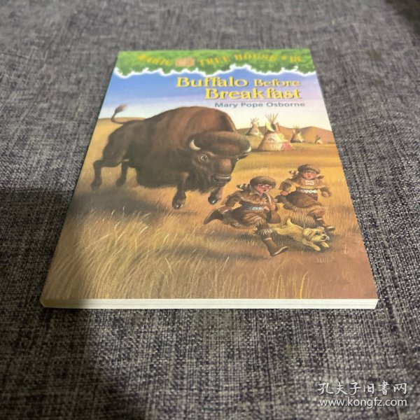 Buffalo before Breakfast (Magic Tree House #18)神奇树屋系列18：早餐前