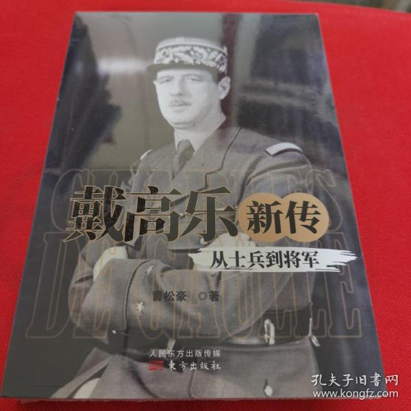 戴高乐新传：从士兵到将军