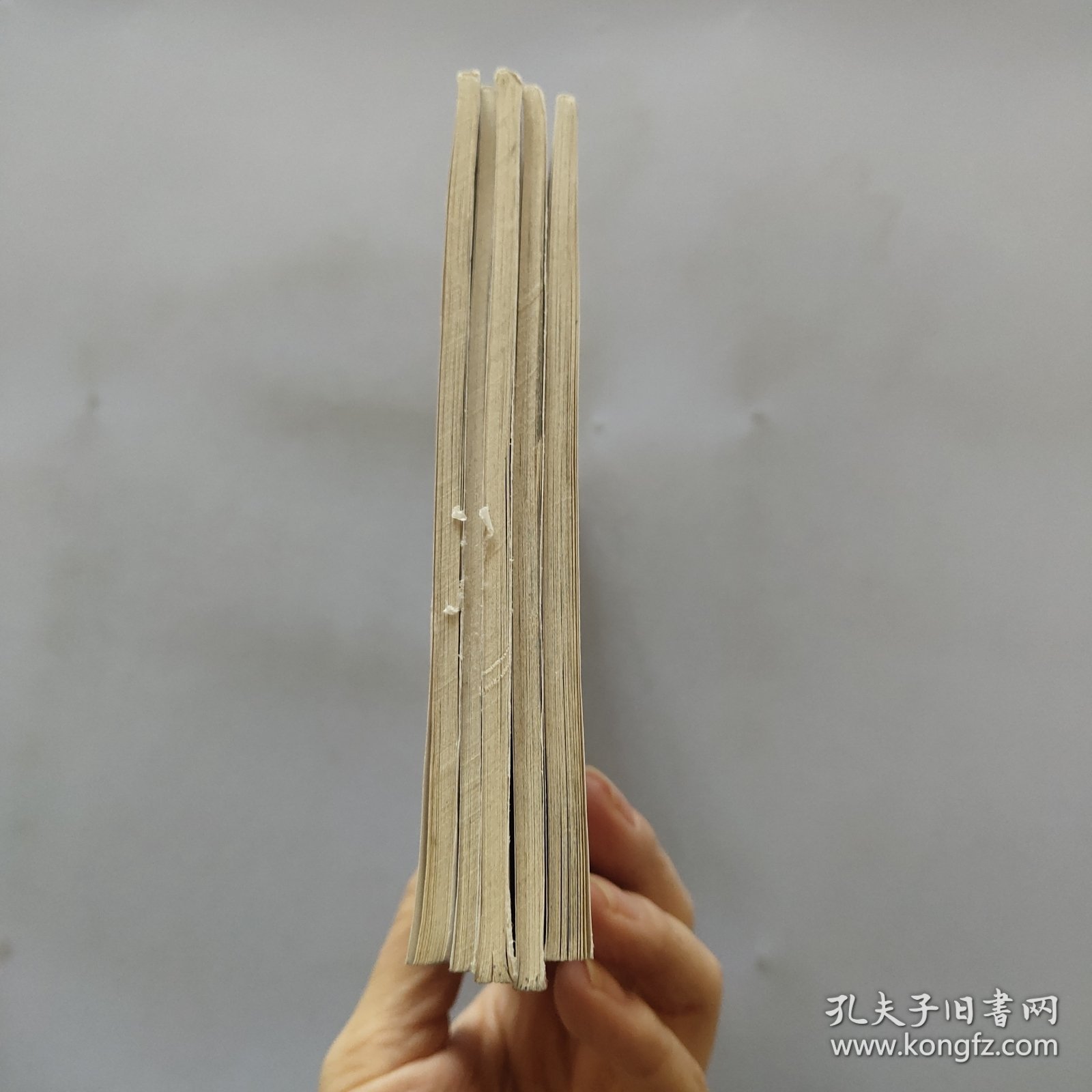 孔子与曲阜·孔子小传 孔林 孔氏家族 孔府 孔庙