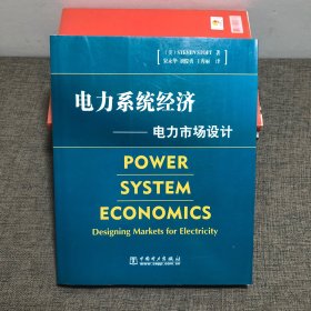 电力系统经济：电力市场设计