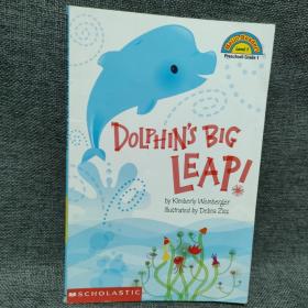 Dolphin's Big Leap