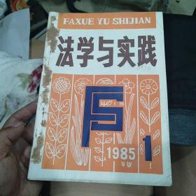 创刊号：法学与实践