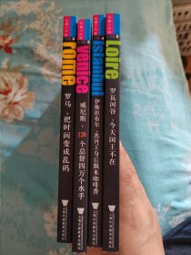 张耀工作室：一本书的世界观系列（2—5册） 罗瓦河谷，今天国王不在（5） 、威尼斯，120个总督四万个水手 （3） 、伊斯坦布尔，苏丹王身后飘来咖啡香（4）、罗马，把时间变成乱码（2）