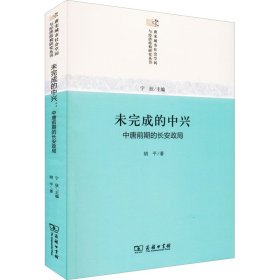 未完成的中兴：中唐前期的长安政局/唐宋城市社会空间与经济结构研究丛书