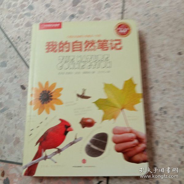 我的自然笔记：找寻一种探索周围世界的新途径