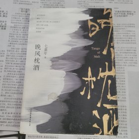 晚风枕酒 七堇年著 中国友谊出版公司