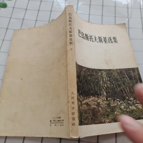 巴乌斯托夫斯基选集 下