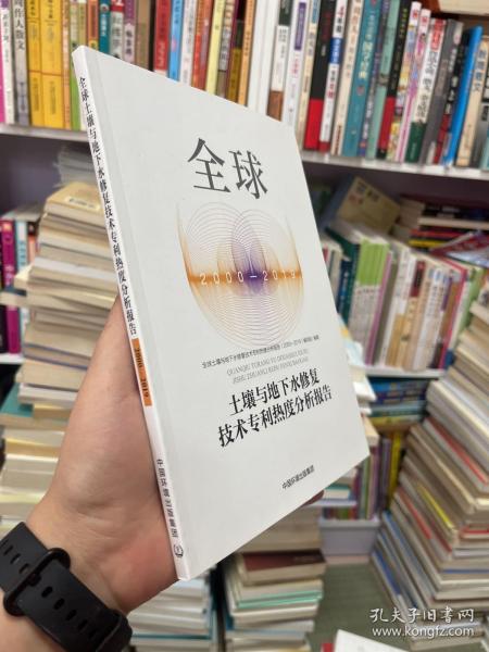 全球土壤与地下水修复技术专利热度分析报告（2000-2019）