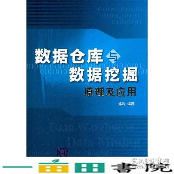 数据仓库与数据挖掘原理及应用