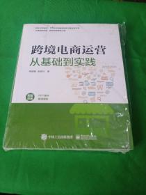 跨境电商运营从基础到实践