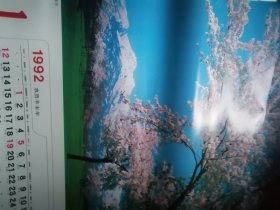 挂历 1992年