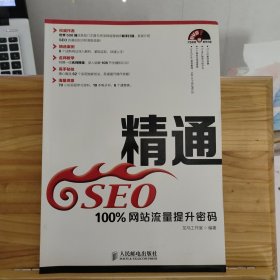 精通SEO：100%网站流量提升密码 【无光盘】