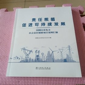 责任根植促进可持续发展 国网山东电力社会责任根植项目案例汇编