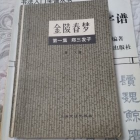 金陵春梦（第一集）