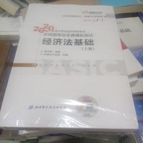 东奥初级会计2020 轻松过关1 2020年应试指导及全真模拟测试经济法基础 (上下册)轻一