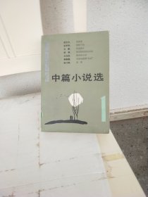 中篇小说选1