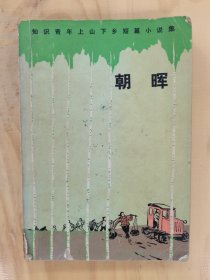 朝晖