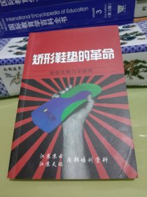 矮形鞋垫的革命 高级生物力学指南