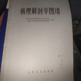 病理解剖学图谱