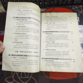 新视界文丛：梦幻之城 当代城市审美文化的批评性考察+永远的前卫 中国现代艺术的反思与批判（2册合售 一版一印）有瑕疵