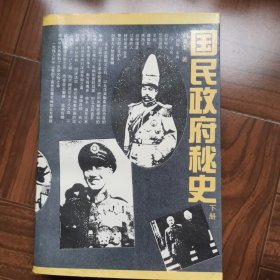 国民政府秘史（上下册）