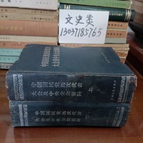 中国国民党历次代表大会及中央全会资料 （全2册，32开硬精装 ）